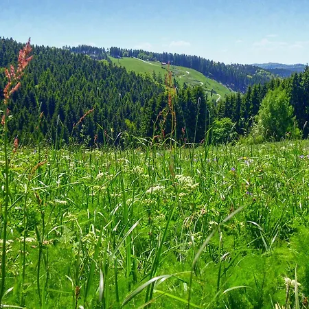 Casa vacanze Ferienhauspark Hasselfelde