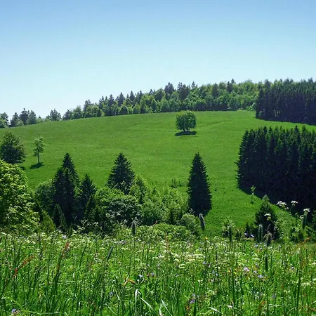 Ferienhauspark Holiday home