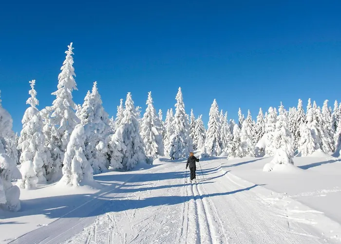 Casa vacanze Ferienhauspark Hasselfelde
