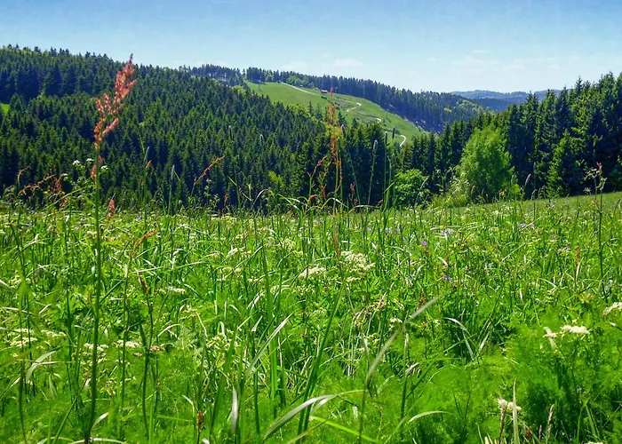 Casa vacanze Ferienhauspark Hasselfelde